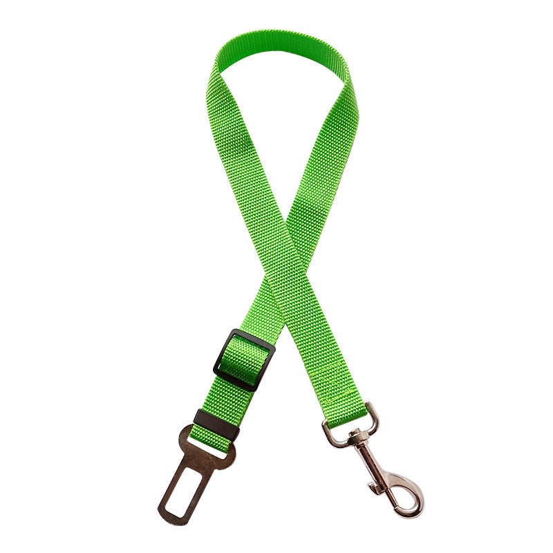 Pet vehicle lead clip for safety